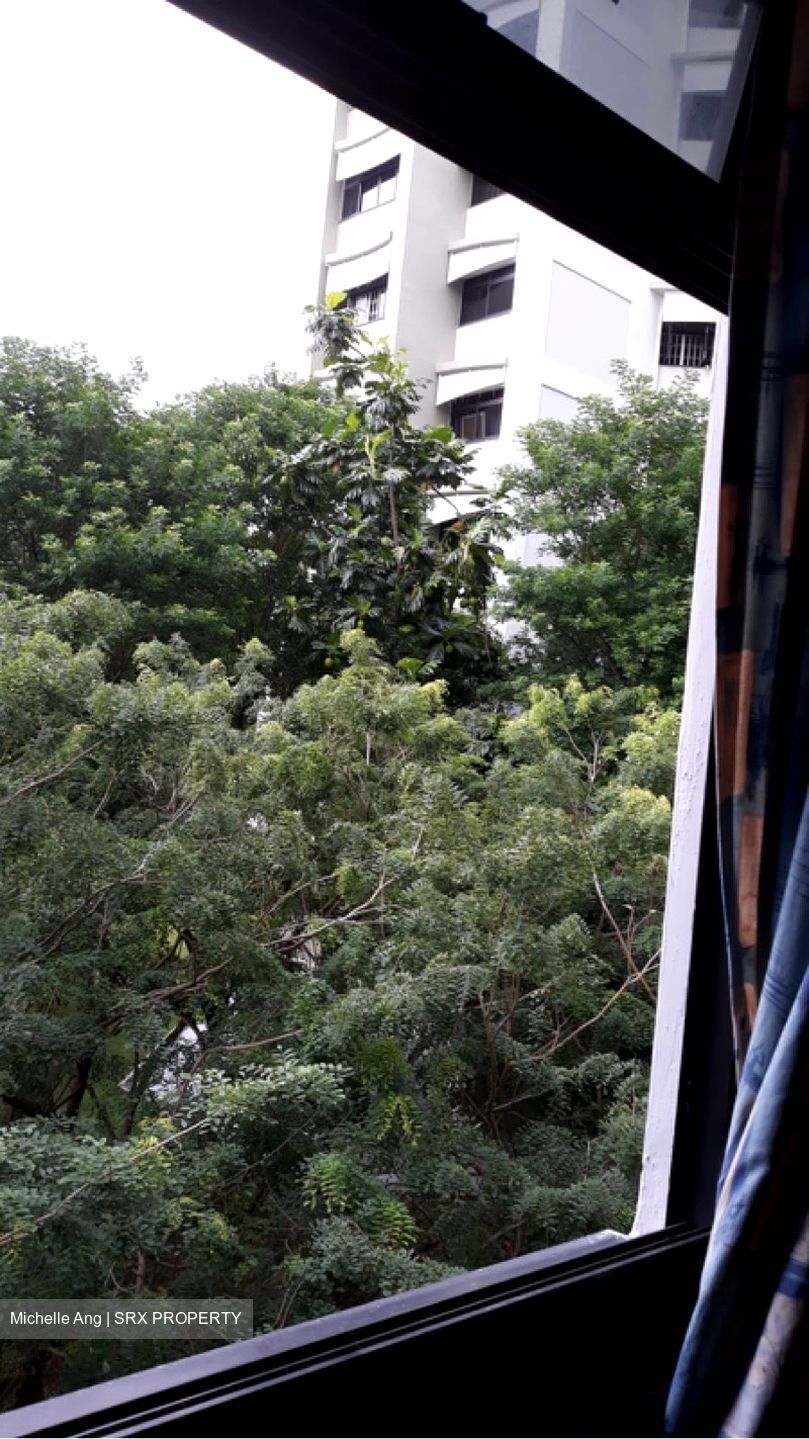 Blk 225A Compassvale Walk (Sengkang), HDB 4 Rooms #304687931
